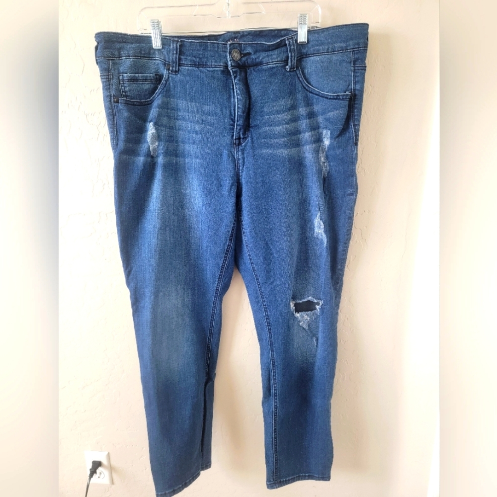 Melissa McCarthy Seven7 skinny jeans